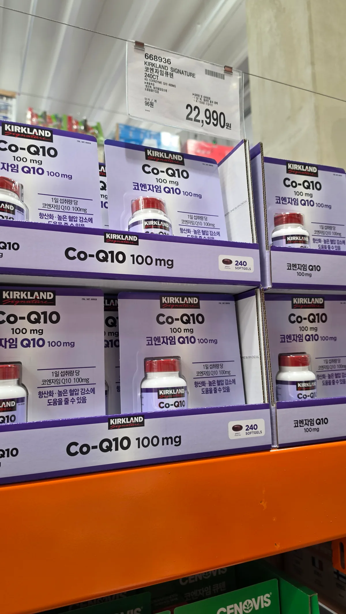 커클랜드 시그니처 코엔자임큐텐 240CT