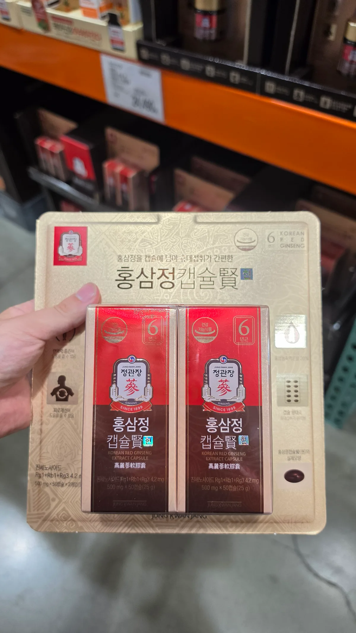 정관장 홍삼정 캡슐 현 500MG x 100캡슐