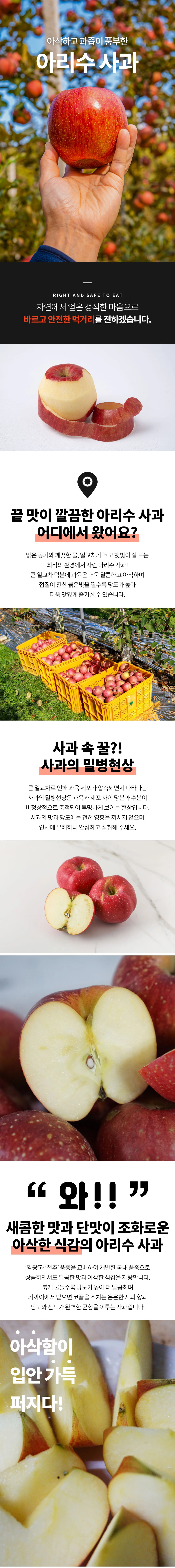 달달한 가을 사과 홍로/아리수 사과 팔아요~~ 상세 2